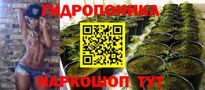 PSILOCYBIN Кунгур