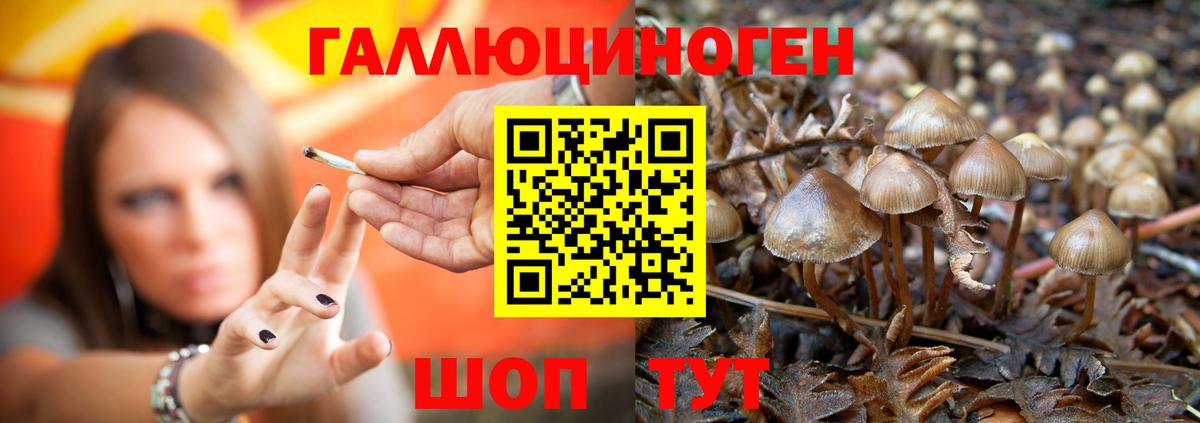 COCAIN  Ивантеевка  Кокаин  Экстази  Вход с VPN  МЕФ кристаллы  НБОМе  А ПВП СОЛЬ   Гашиш 